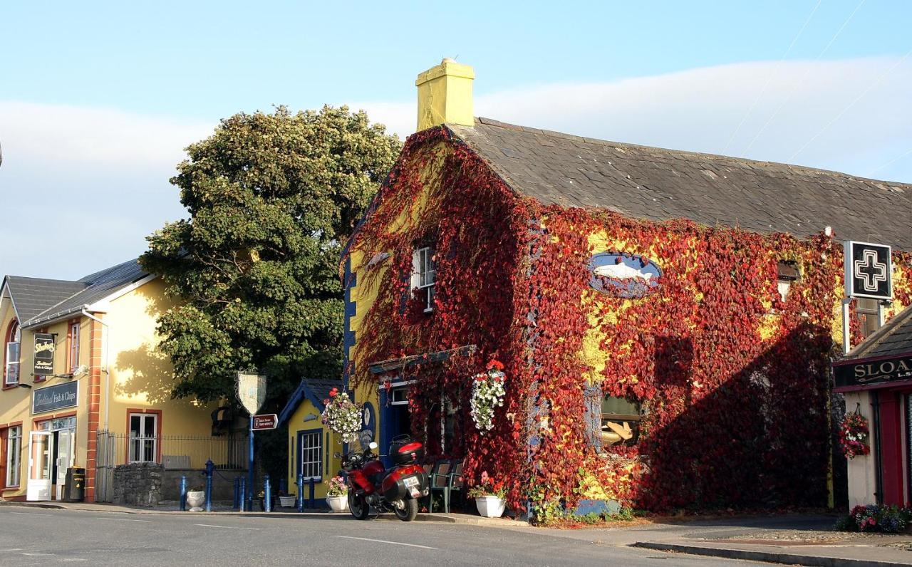 Kingfisher Lodge & Pub Castleconnell Exterior photo
